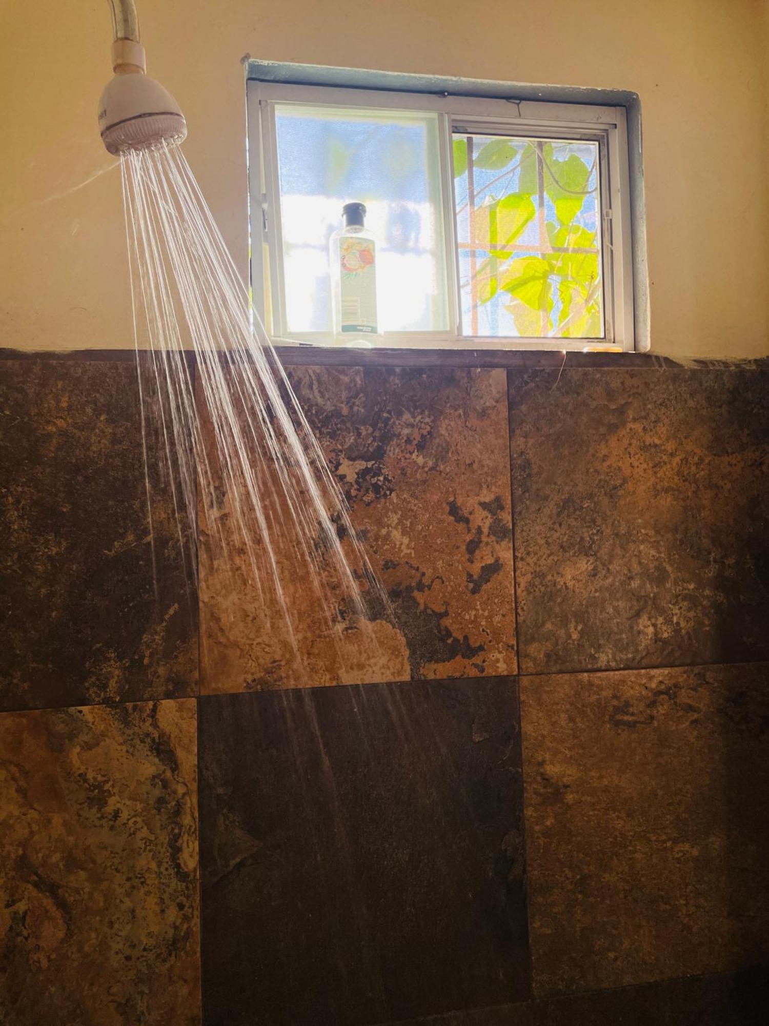 Trotamundo Oaxaca Hostel Ngoại thất bức ảnh